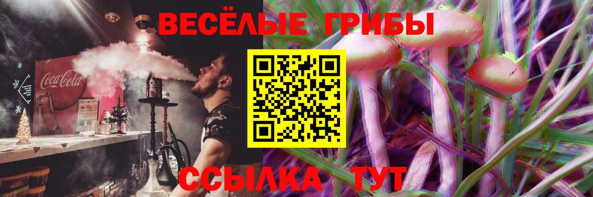 Галлюциногенные грибы Cubensis  Галлюциногенные грибы Psilocybine cubensis  купить закладку  Вход с VPN  Борисоглебск 