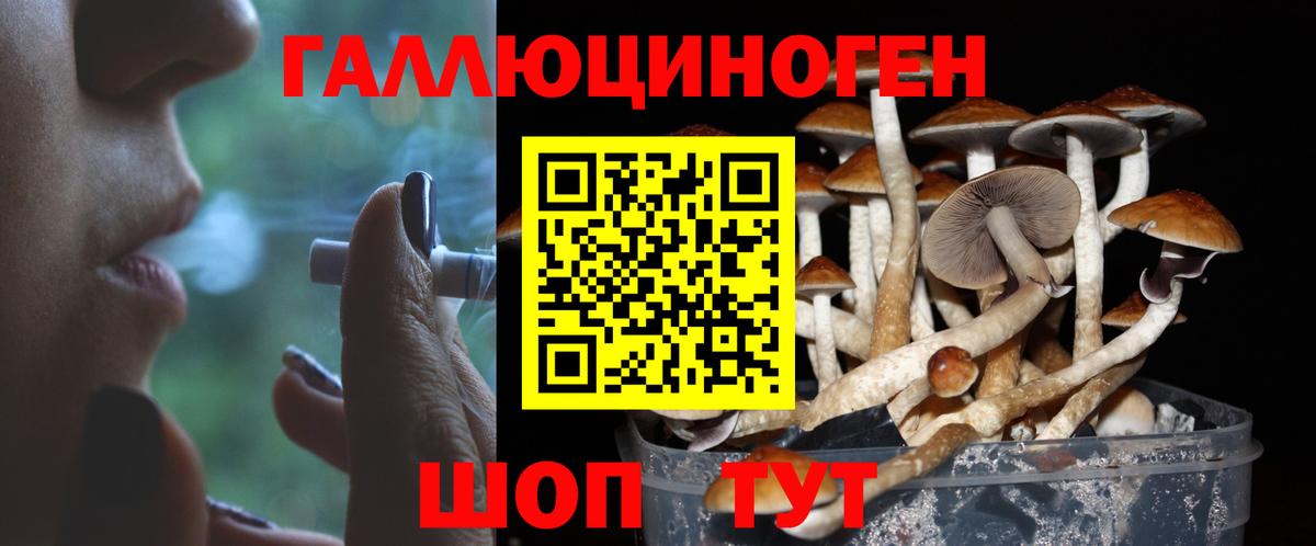 Галлюциногенные грибы мицелий Борисоглебск